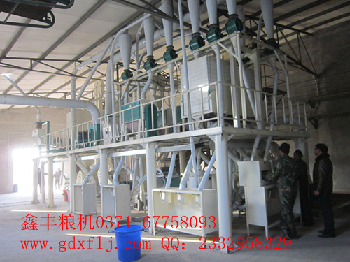 河北衢州客戶(hù)50噸玉米糝加工設(shè)備安裝成功